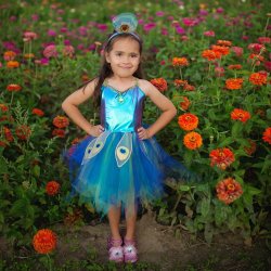 Great Pretenders - Udkl&#230;dning - P&#229;fuglekjole 5-6 &#229;r