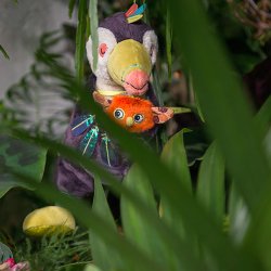 Moulin Roty - T&#248;jdyr m. musikoptr&#230;k - Tukanen Pakou