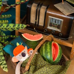 Moulin Roty - Aktivitetst&#248;jdyr m. musikoptr&#230;k - Koalaen Koco