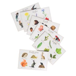 Moulin Roty - Billedlotteri