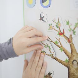 Moulin Roty - Magnetisk evighedskalender - &#229;rstiderne