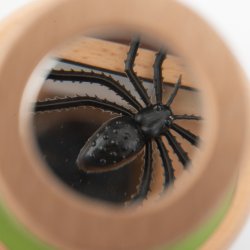 Moulin Roty - Stort insektglas - Le Botaniste