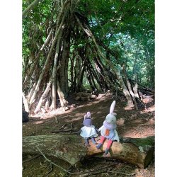 Moulin Roty - T&#248;jdyr - Den lille kanin Plume