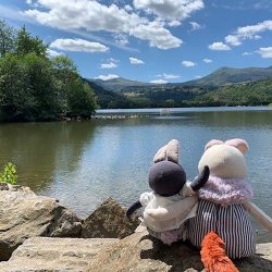 Moulin Roty - T&#248;jdyr - Den lille kanin Plume