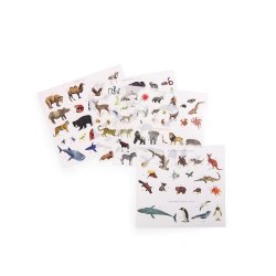 Moulin Roty - Verdenskort med overf&#248;rselsbilleder