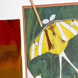 Moulin Roty - Fantasy Board Dekoark - Tout autour du monde