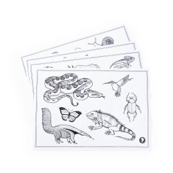 MoulinRoty - Tegnetavle med lys - Tout autour du monde