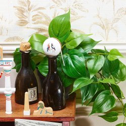 Vilac - Yoyo - Fugle fra Naturhistorisk Museum