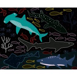 Auzou - Ridsekort - Havet