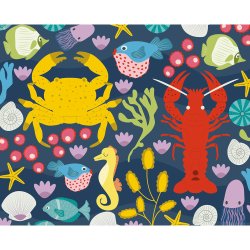 Auzou - Ridsekort - Havet