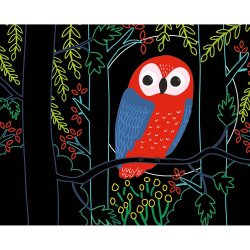 Auzou - Ridsekort - Skovens dyr