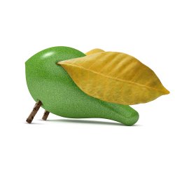 Locomo - Becky - Gr&#248;n