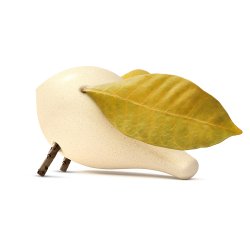 Locomo - Becky - Natur