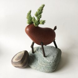 Locomo - Dale - Brun