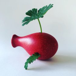 Locomo - Frida - R&#248;d