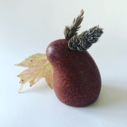 Locomo - Robbie - Brun