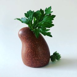 Locomo - Robbie - Brun