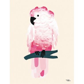 Michelle Carlslund - Plakat - 50 x 70 cm - Pink Kakadue