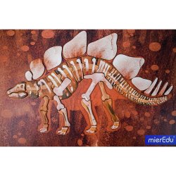 mierEdu - Magnetisk legetavle - Stegosaurus