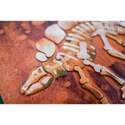 mierEdu - Magnetisk legetavle - Stegosaurus