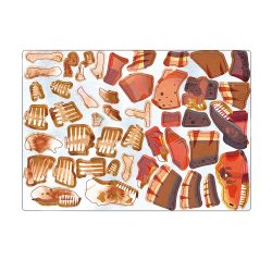 mierEdu - Magnetisk legetavle - T Rex