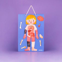 mierEdu - Magnetisk leges&#230;t - All About Body and Emotion (engelsk)