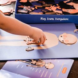 mierEdu - Magnetisk leges&#230;t - L&#230;r om kroppens funktioner