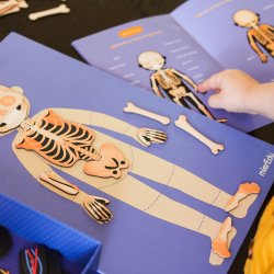 mierEdu - Magnetisk leges&#230;t - L&#230;r om kroppens funktioner