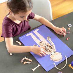 mierEdu - Magnetisk leges&#230;t - L&#230;r om kroppens funktioner