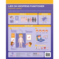 mierEdu - Magnetisk leges&#230;t - L&#230;r om kroppens funktioner