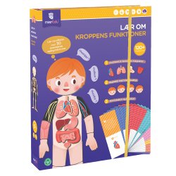 mierEdu - Magnetisk leges&#230;t - L&#230;r om kroppens funktioner