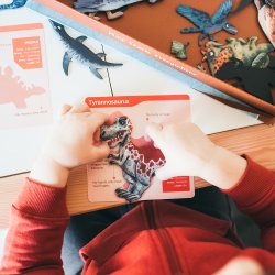 mierEdu - Magnetisk leges&#230;t - All About Dinosaurs (engelsk)