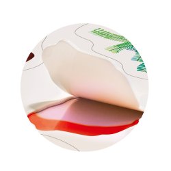 mierEdu -  Jelly Stickers 34 stk - Flytbare - Dinoland