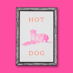 Marke Newton - A3 Print - Hot Dog
