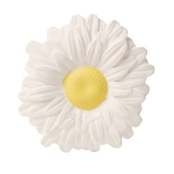 Oli &amp; Carol - Bidering - Margarita the Daisy