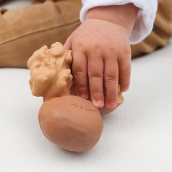 Oli &amp; Carol - Bidering - Nutty the Walnut