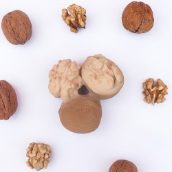 Oli &amp; Carol - Bidering - Nutty the Walnut