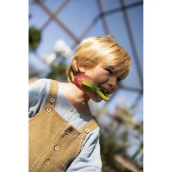 Oli &amp; Carol - Bidering - Theo the Tulip