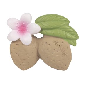 Oli & Carol - Bidering - Aly the Almond