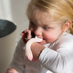 Oli &amp; Carol - Armb&#229;nd i naturgummi - Flamingoen Sky