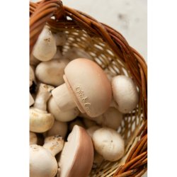 Oli &amp; Carol - Bidering - Manolo the Mushroom