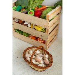 Oli &amp; Carol - Bidering - Manolo the Mushroom