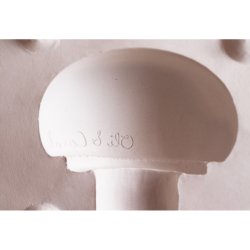 Oli &amp; Carol - Bidering - Manolo the Mushroom