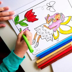 OOLY - Tusser 18 stk - Dobbeltsidet - Color Together