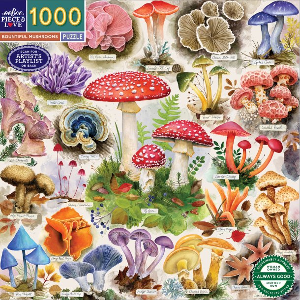 eeBoo - Puslespil 1000 brk - Bountiful Mushrooms