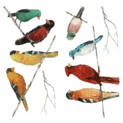 RoomMates - Wallstickers - Sangfugle