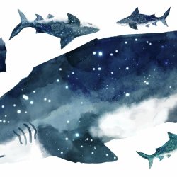 RoomMates - Wallstickers - K&#230;mpe haj