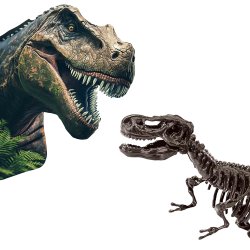 SES Creative - Udhug - T-rex og skelet