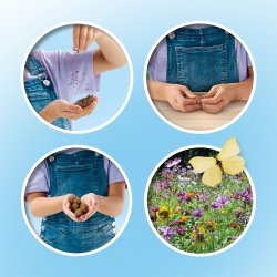 SES Creative - Frøkugler - Sommerfugle