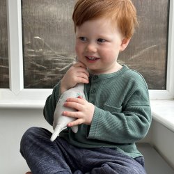 ThreadBear - T&#248;jdyr - Dinosauren Bronty